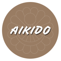 Icon - AIKIDO